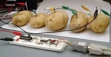 “土豆服务器”